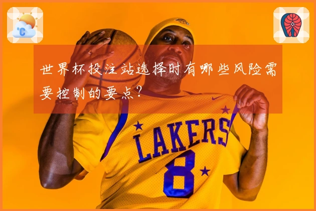 世界杯投注站选择时有哪些风险需要控制的要点?