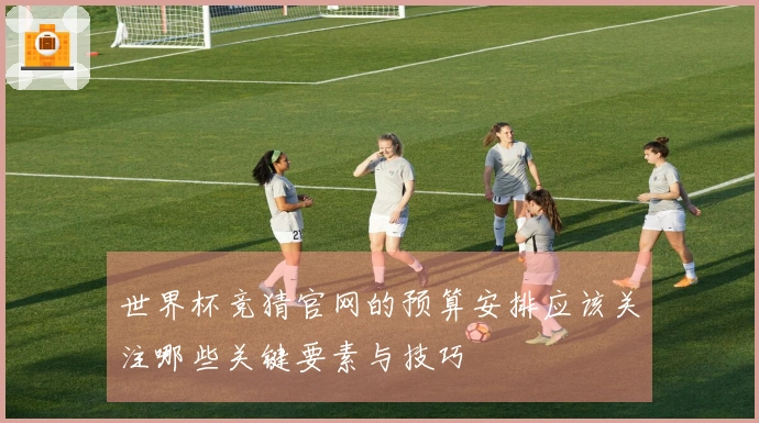 世界杯竞猜官网的预算安排应该关注哪些关键要素与技巧