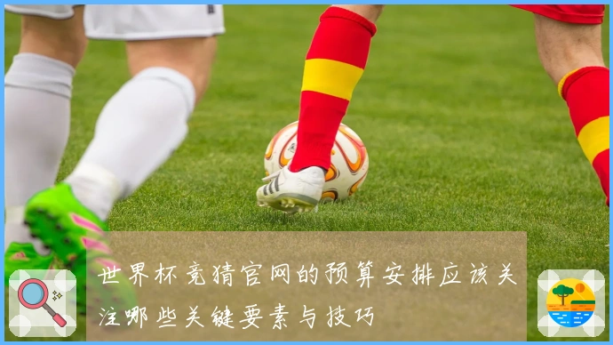 世界杯竞猜官网的预算安排应该关注哪些关键要素与技巧